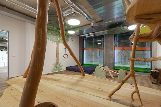 Play space with natural wood elements, climbing structure, round basic pendant luminaires and large window areas.