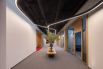 Modern office hallway with curved Liquid Line light lines on the ceiling that imitate the natural form of a liana. In the middle of the hallway is a bench with an integrated olive tree, creating an organic connection between architecture and nature. Wooden elements on doors and window frames, as well as red carpet accents, emphasise the warm, inviting atmosphere.