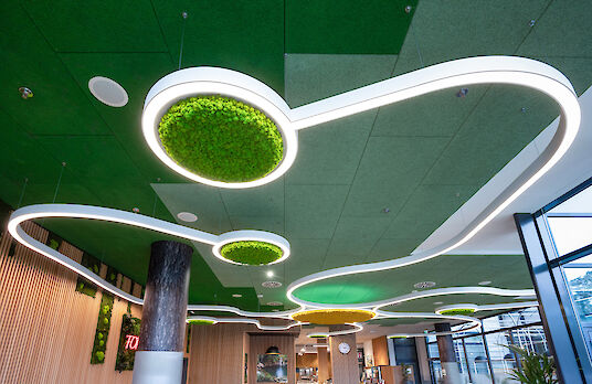 Canteen with organically curved Liquid Line ceiling lighting and round acoustic elements made of moss.
