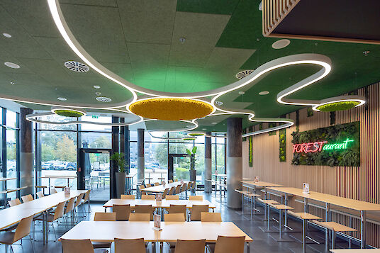 Canteen with curved Liquid Line ceiling lighting, moss acoustic elements and large windows in the Forest restaurant.