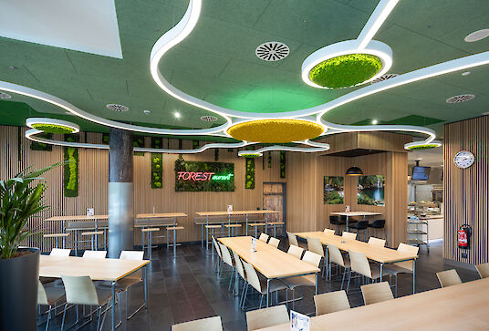Canteen with organically curved Liquid Line lighting, green moss elements and wooden wall panelling.
