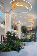 Großzügiges Atrium mit Pflanzeninseln, geschwungenen Liquid Line Leuchten und klar strukturierter Lichtführung