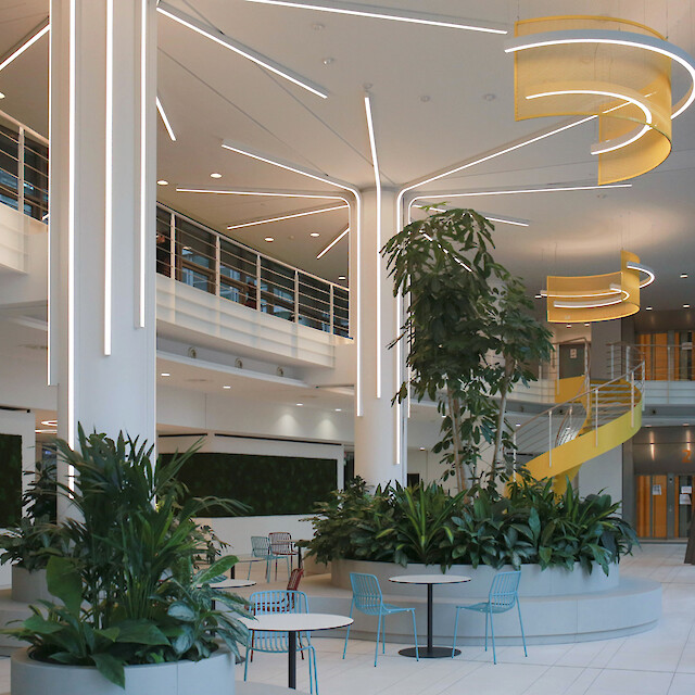 Atrium ouvert avec îlots végétaux, luminaires linéaires au plafond et éclairage sculptural Liquid Line 