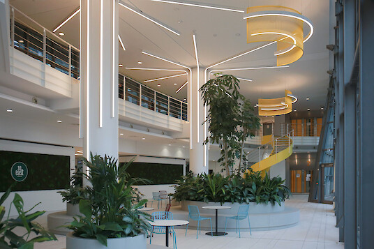 Open atrium with plants and custom-shaped lines of light.