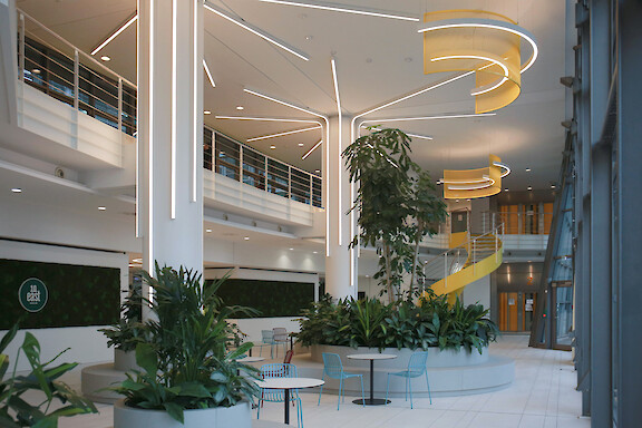Open atrium with planted seating islands and lines of light branching across columns and ceiling.