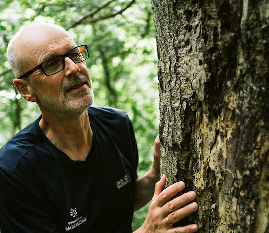 Man wearing glasses examines and touches the trunk of a tree in a forest.