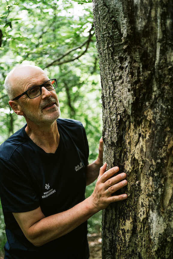 Peter Wohlleben betrachtet die Rinde eines Baumes im grünen Wald.