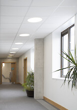 Bright library corridor with plants, concrete columns and evenly spaced round ceiling luminaires