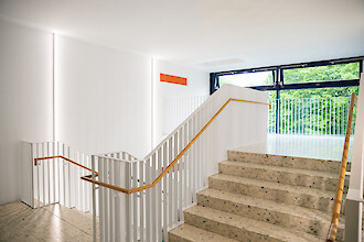 Bright school stairwell with white railings, timber handrails and vertical linear wall luminaires.