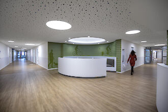Reception area with round counter, wood-effect flooring, green wall graphics and round ceiling luminaires.