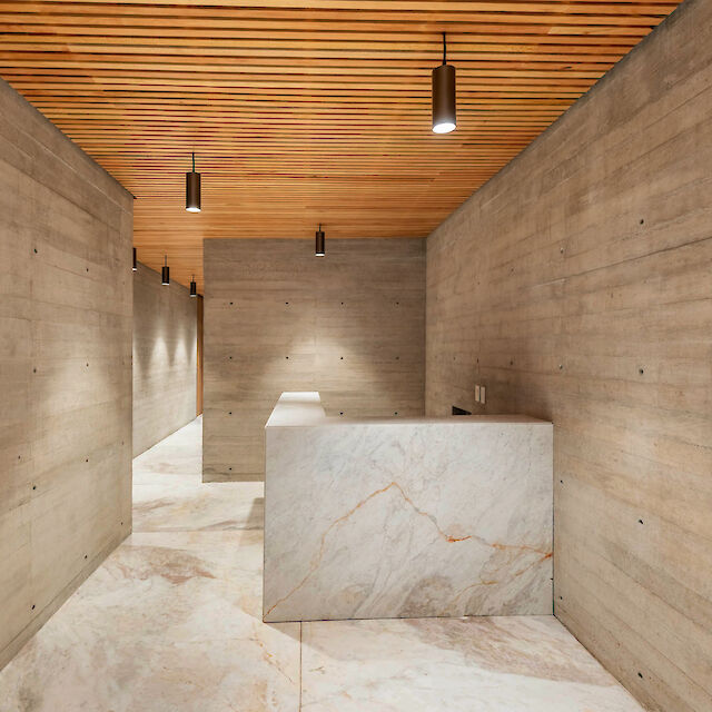 Recepción minimalista con paredes de hormigón visto, techo de listones de madera y focos cilíndricos en el techo