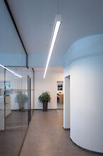 The picture shows a modern office corridor with a long, rectangular ceiling luminaire illuminating the corridor. On the left of the picture is a glass wall, behind which a large houseplant stands in a brown planter. The floor consists of a dark grey covering and the walls are painted a light white. A slightly curved wall can be seen on the right-hand side of the picture, which separates the corridor. In the background of the corridor, other offices and another plant are visible, giving the room a friendly atmosphere.

