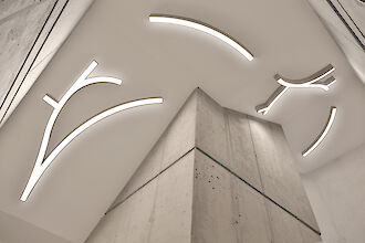 Dieses Bild zeigt die Decke eines Treppenhauses in der Gertrud-Hass-Bibliothek in Berlin. Die Decke ist mit modernen, abstrakten Lichtinstallationen ausgestattet, die aus weißen, leuchtenden Linien bestehen. Diese Linien sind in geschwungenen und verzweigten Mustern angeordnet, die an Äste erinnern. Die Wände und Säulen des Treppenhauses sind aus Beton, was einen minimalistischen und industriellen Look erzeugt. Die Kombination aus der schlichten Betonumgebung und den kunstvollen Lichtlinien verleiht dem Raum eine moderne und stilvolle Atmosphäre.