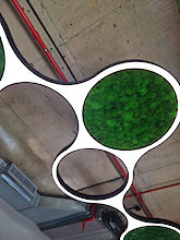 La imagen muestra un primer plano del techo de una habitación moderna con luces en forma de anillo conectadas entre sí para formar una estructura. Algunas de las superficies interiores de los anillos están cubiertas de un denso musgo verde. El techo es de hormigón y muestra tuberías rojas paralelas al techo. En la esquina inferior izquierda se ve parte de un sistema de aire acondicionado. El color verde del musgo contrasta con la superficie neutra de hormigón y las tuberías rojas.