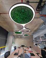 La imagen muestra una oficina moderna con una mesa larga y rectangular. En el techo hay unas llamativas lámparas en forma de anillo conectadas entre sí. Las superficies interiores de los anillos están revestidas de musgo verde. El techo es de hormigón y las paredes están parcialmente revestidas de estanterías con libros y material de oficina. En las mesas hay varios puestos de trabajo informáticos, equipados con monitores, teclados y otros equipos de oficina. La sala tiene un aire moderno y creativo.