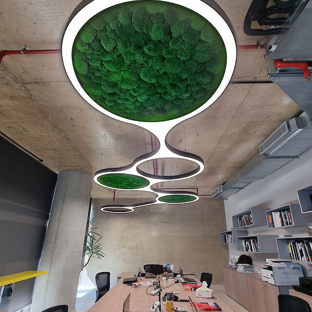 The picture shows a modern office space with a long, rectangular table arrangement. There are eye-catching, ring-shaped luminaires on the ceiling that are connected to each other. The inner surfaces of the rings are lined with green moss. The ceiling is made of concrete and the walls are partially lined with shelves containing books and office supplies. Several computer workstations are set up at the tables, equipped with monitors, keyboards and other office equipment. The room has a modern and creative feel.