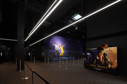 Cinema area with linear Liquid Line pendant luminaires and film posters on black walls.