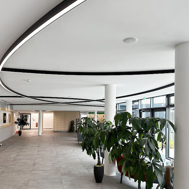 Foyer with curved surface-mounted light lines, white columns, large windows and plants.