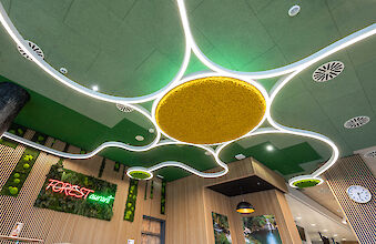 Curved LED light structures with large, round moss acoustic elements on the ceiling of the FORESTaurant in the CHdN.