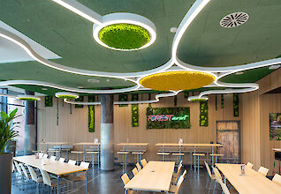 Bright canteen with curved LED light structures, round moss acoustic elements on the ceiling and modern wooden tables.