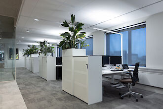 Ein modernes Büro mit mehreren Arbeitsplätzen. Die Arbeitsbereiche sind durch weiße Schränke mit großen grünen Pflanzen darauf getrennt. An den Schreibtischen stehen ergonomische Stühle, und die Arbeitsplätze sind mit Monitoren und Telefonen ausgestattet. Die Fenster sind mit blauen Rollos bedeckt, die Licht filtern. Die Deckenbeleuchtung ist gleichmäßig und sorgt für eine helle, einladende Atmosphäre. Links im Bild ist eine Glaswand zu sehen, die den Raum zusätzlich abgrenzt.