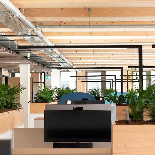 A generously proportioned, open-plan office space with wooden elements, screens and modern lighting under a wooden ceiling.